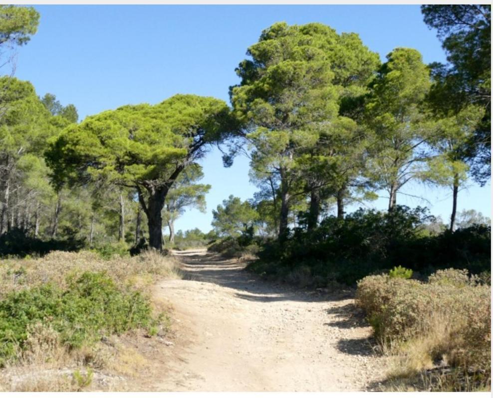 Antiqua Roma Spqr Domus Villa Port-la-Nouvelle Exteriör bild